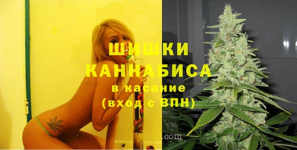 стафф Верея