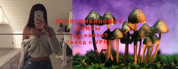 стафф Верея